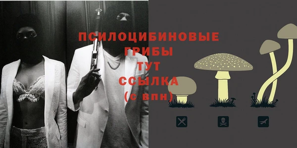 спайс Алексеевка