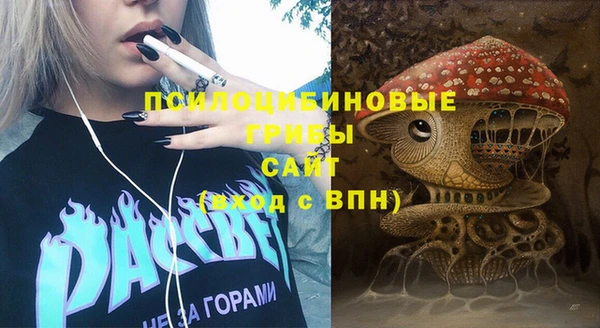 спайс Алексеевка
