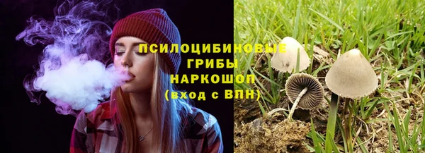 спайс Алексеевка