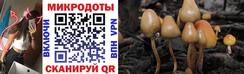 Галлюциногенные грибы мухоморы где найти наркотики Тамбов