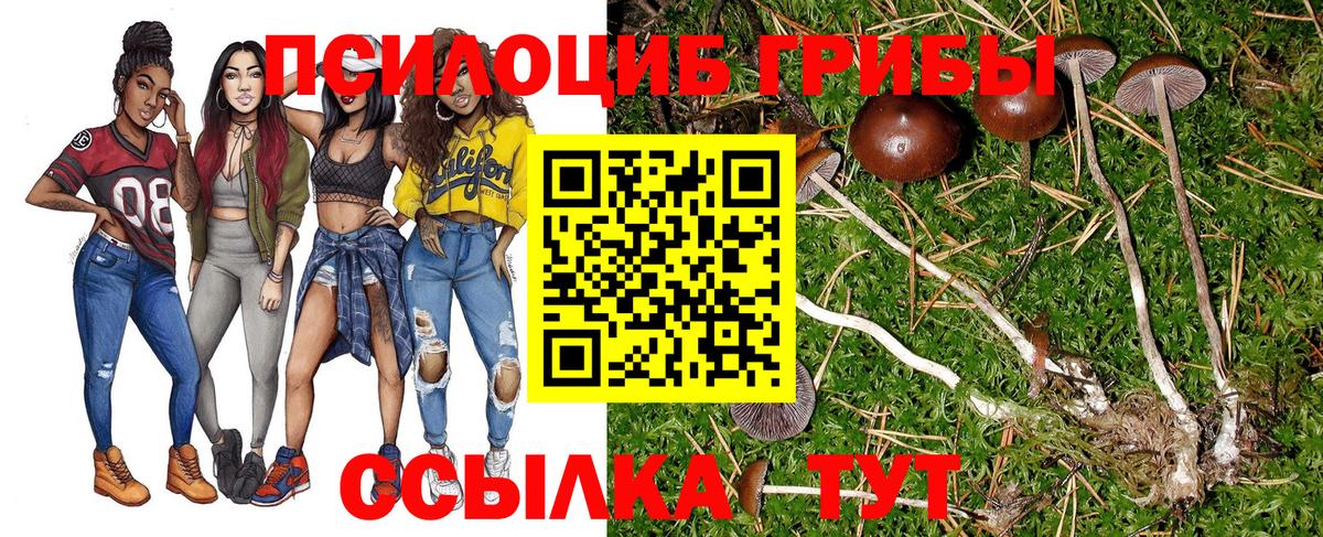 Псилоцибиновые грибы GOLDEN TEACHER  Вход с VPN  Тамбов 