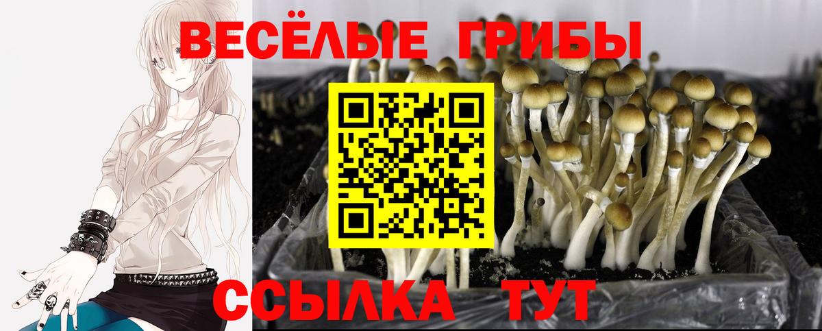 КОКАИН Тамбов