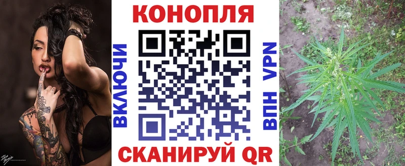 Марихуана планчик  где купить наркоту  Тамбов 